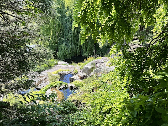 Woodlands and Outcrops at Stonecrop Garden primary image