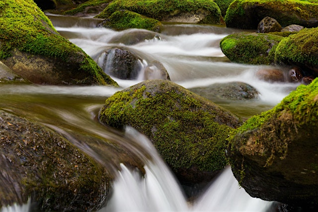 Image principale de Making Better Waterfall Photography by Cecil Holmes, Tamron Photographer