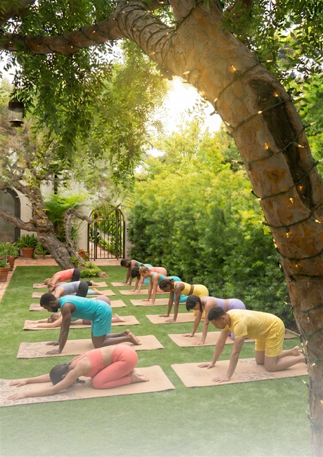 Image principale de Sunshine Yoga + Social