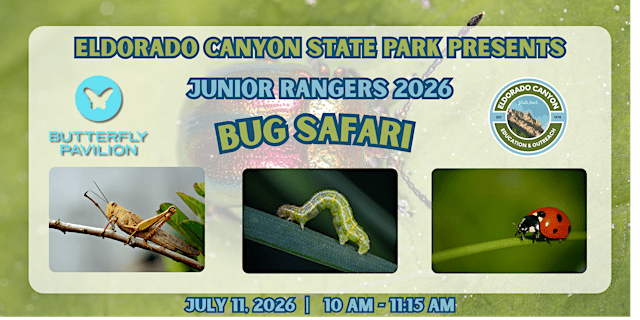 Image principale de Junior Rangers: Bug Safari