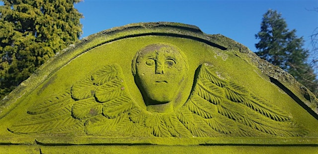 Image principale de Ghosts of Shankill Graveyard Walking Tour
