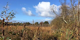 Image principale de Wybunbury Moss Conservation day