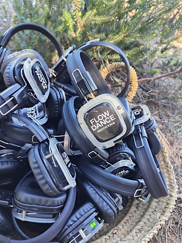 Imagem principal de Drum & Dance in the Woods