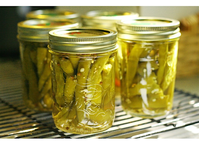Boiling Water Bath Basics: Let's Can Dilly Beans! primary image