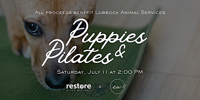 Puppies & Pilates primary image
