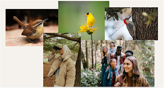 Birdwatch! with kin everywhere *IBQ Gathering primary image