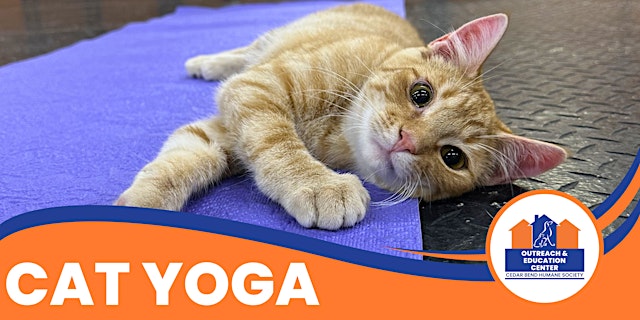 Primaire afbeelding van Cat Yoga