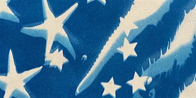 Image principale de Stars and Stripes Sun-prints | Jake Willwerth, instructor