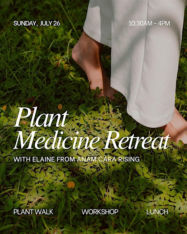 Image principale de Plant Healing Retreat with Elaine from Anam Cara Rising