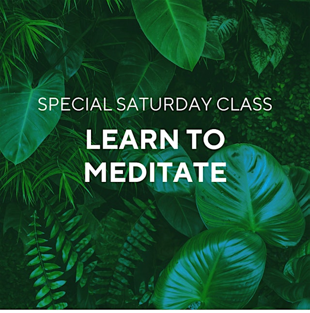 Image principale de Learn to Meditate