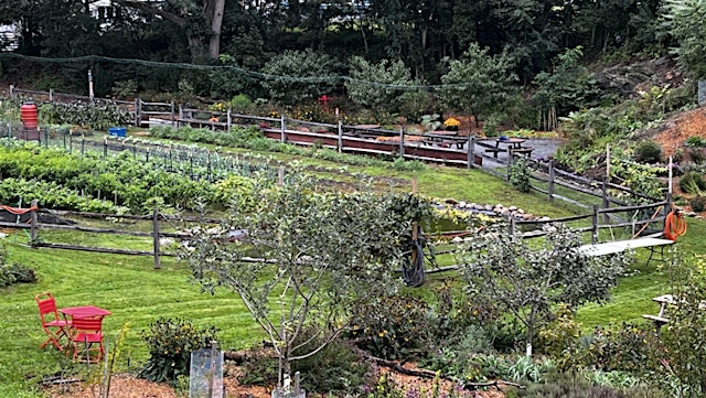 Image principale de Roots of Salem: A Demonstration of Indigenous Foodways