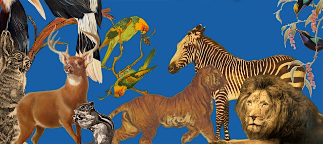 Image principale de Museum Menagerie Public Tour