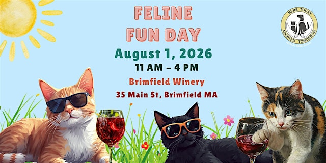 Image principale de Feline Fun Day