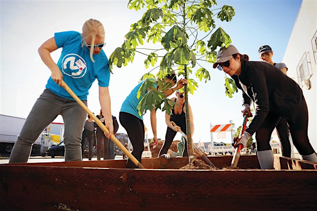 Image principale de GBD's 25th St. Sidewalk Garden Workday