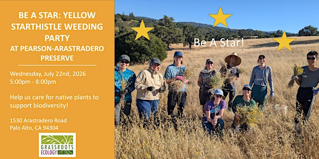 Image principale de Be a Star: Yellow Starthistle Weeding Party at Pearson-Arastradero Preserve