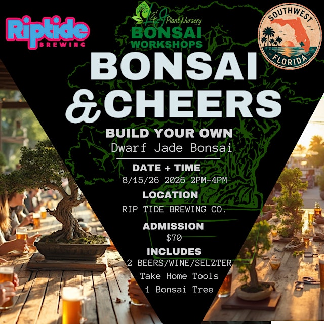 Image principale de Bonsai & Cheers at Rip Tide Brewing Co | Dwarf Jade Bonsai Tree