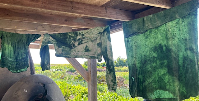 Image principale de Natural Dyeing: A hands-on workshop