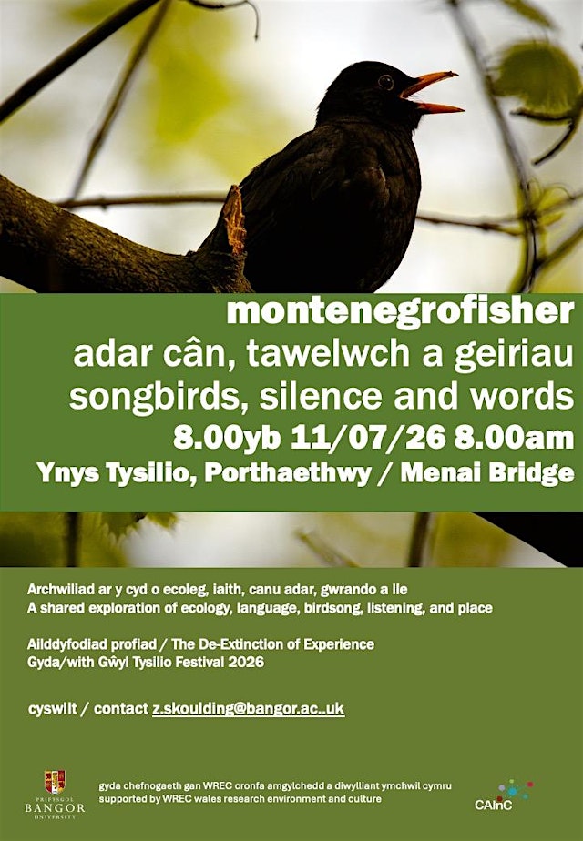 Image principale de songbirds, silence and words with montenegrofisher