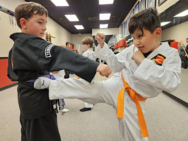 Image principale de Summer Martial Arts Training Camp
