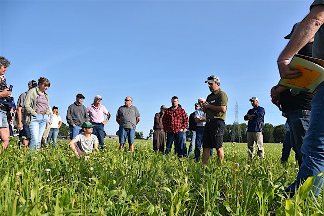 Image principale de From Dirt to Healthy Soil: August 15, 2026
