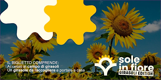 Image principale de Sole in Fiore – Campo di Girasoli