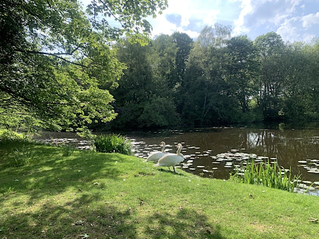 Image principale de Shut Up & Write!® Groningen in Stadspark