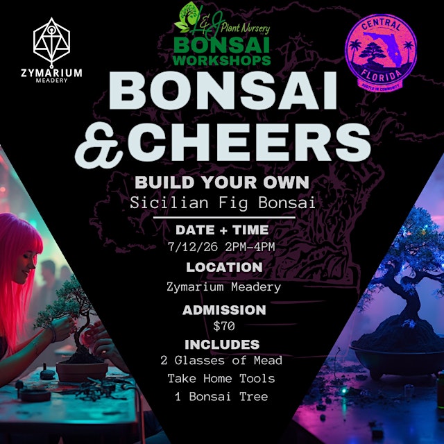 Image principale de Bonsai & Cheers at Zymarium Meadery | Sicilian Fig Bonsai Tree