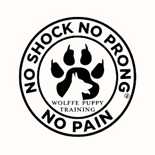 Image principale de Lost Barrel Brewing Summer Dog Training Series Presented by Wolffe Puppy Tr