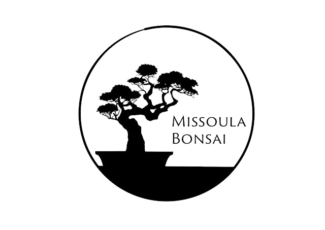Image principale de 7/12 - Bonsai Workshop - Missoula Bonsai