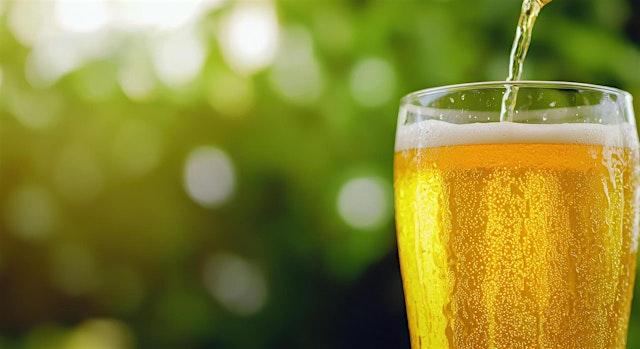 Imagen principal de Singles beer garden event