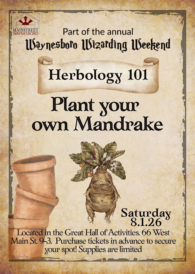 Image principale de Plant your own Mandrake at Wizarding Weekend
