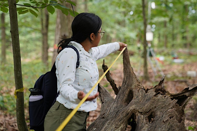 Imagen principal de Educators' Field Techniques School