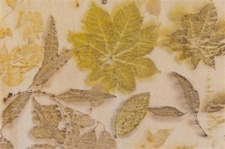 Image principale de Featured Artist Workshop: Eco-Printing with Mahbube Parnian