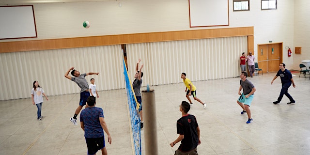 Primaire afbeelding van Volleyball