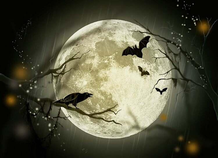 Spooky Stories and the People Behind Them