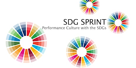 Performance Culture with the SDGs - Webinar primary image