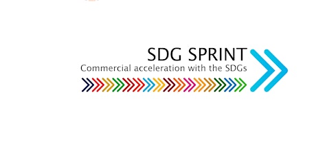 Business acceleration with the SDGs - Webinar primary image