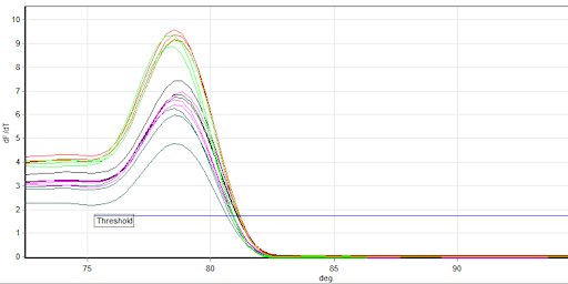 Quantitative PCR (adult course for ages 13 and up)