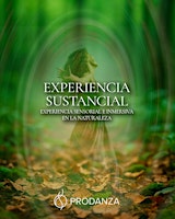 Afiche de Experiencia Sustancial