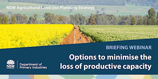 Options to minimise the loss of productive capacity