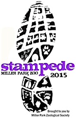 Zoo Stampede 2015 primary image