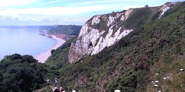 Branscombe to Beer Coastal Walk