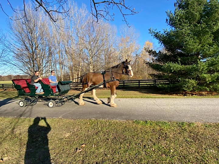 
		Christmas with the Clydesdales image
