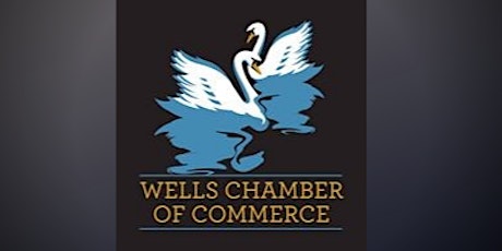 Wells Chamber of Commerce and Local Guests - Christmas Zoom meeting primary image