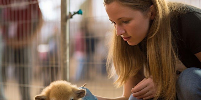 Image principale de Chesapeake Dunkin' teams up with friends of Norfolk Animal Care Center