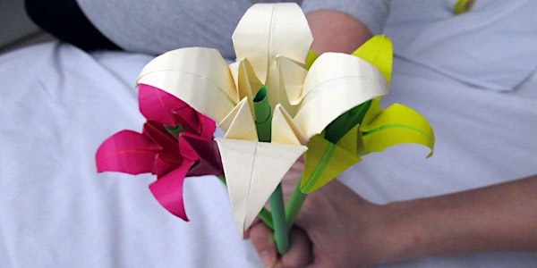 Origami for comfort: National Grief Awareness Week