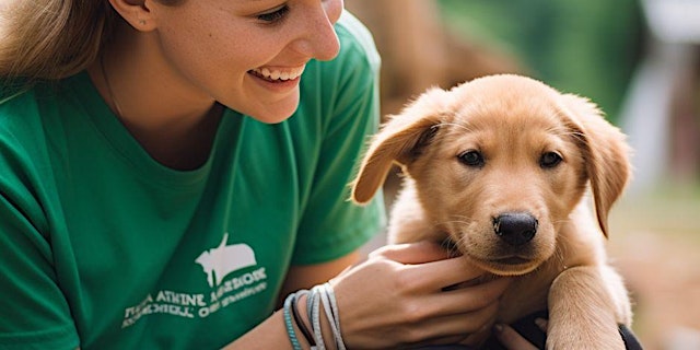 Immagine principale di Silent Auction "Paws for a Cause" Fundraiser for Surry Animal Rescue