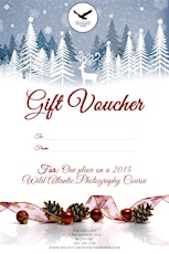Christmas Gift Voucher primary image