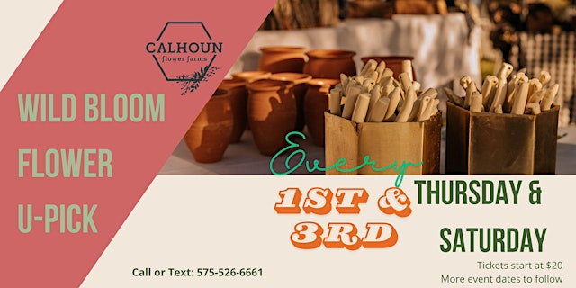October U-Pick at Calhoun Flower Farms primary image