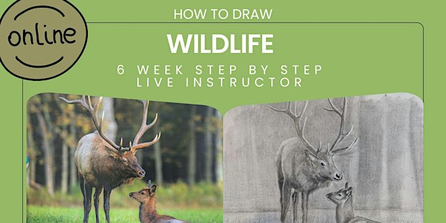 Learn to draw! primary image